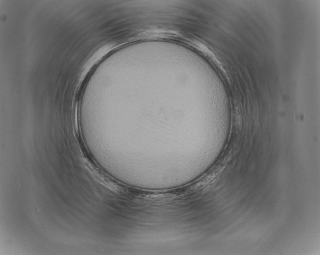 X0000075861227200610151627