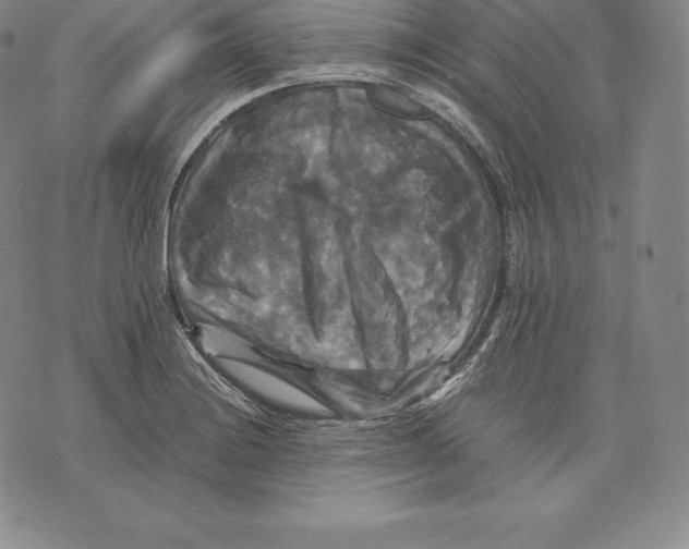 X0000075861228200610151627