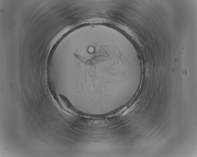 X0000075861229200610151627