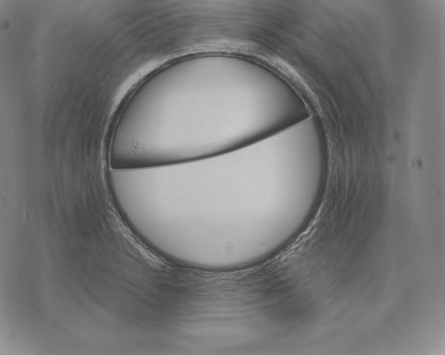 X0000075861230200610151627