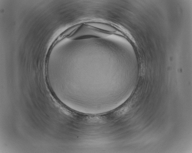 X0000075861231200610151627