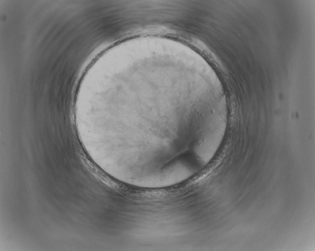 X0000075861232200610151627