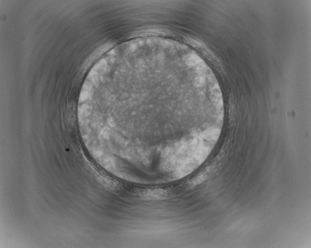 X0000075861233200610151627