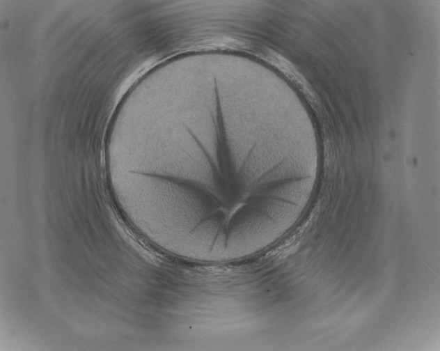 X0000075861234200610151627