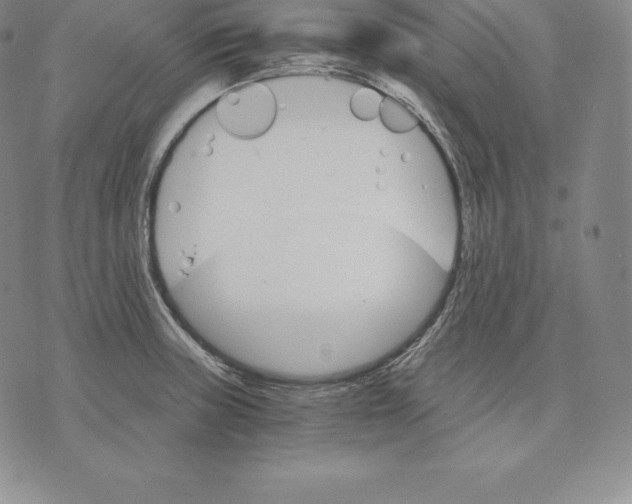 X0000075861235200610151627