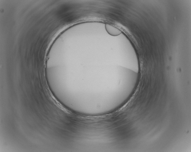 X0000075861236200610151627