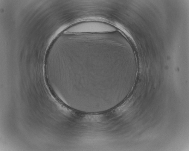 X0000075861237200610151627