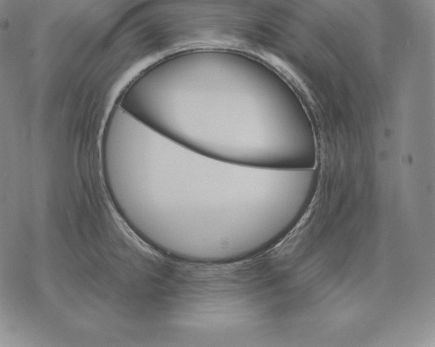 X0000075861238200610151627