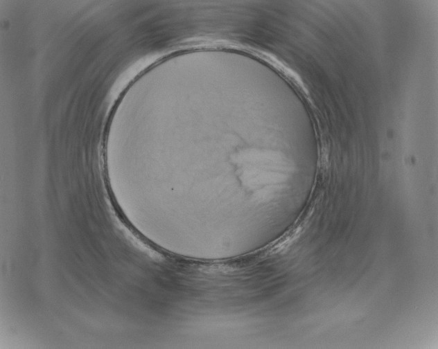 X0000075861239200610151627