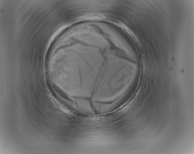 X0000075861240200610151627