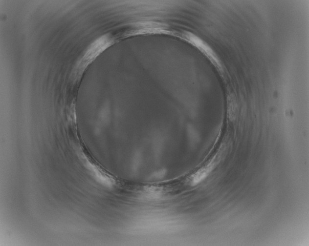 X0000075861241200610151627