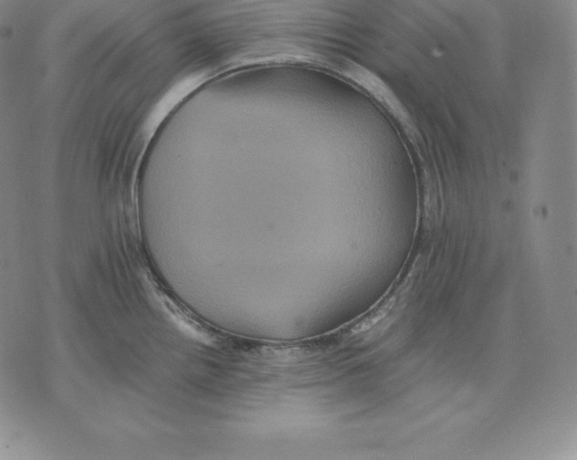 X0000075861242200610151627