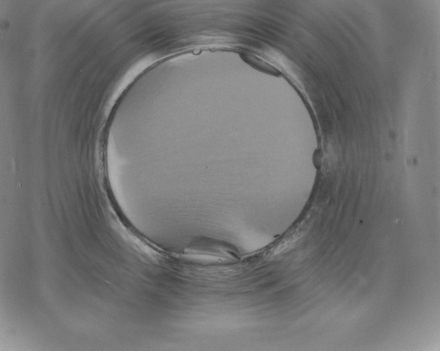 X0000075861243200610151627