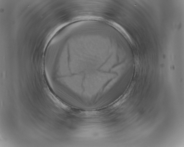 X0000075861244200610151627