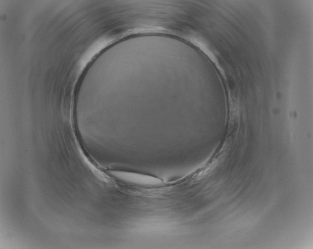 X0000075861245200610151627