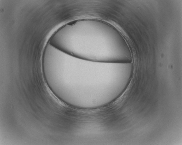 X0000075861246200610151627