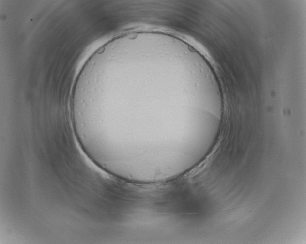 X0000075861247200610151627