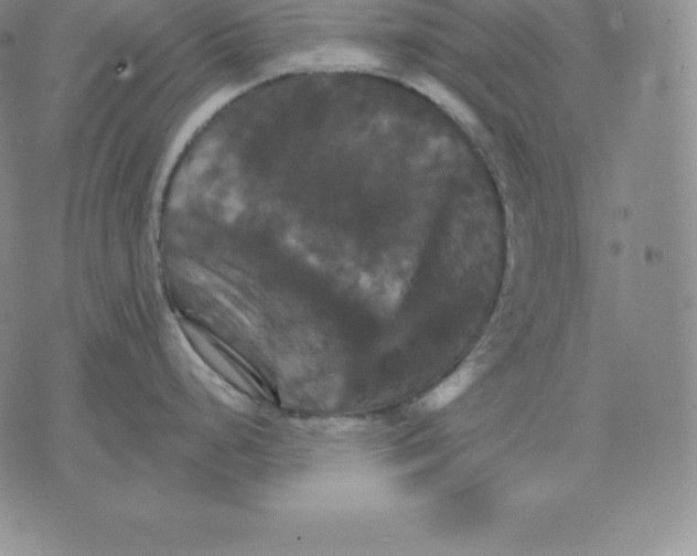 X0000075861248200610151627