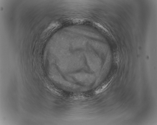 X0000075861249200610151626