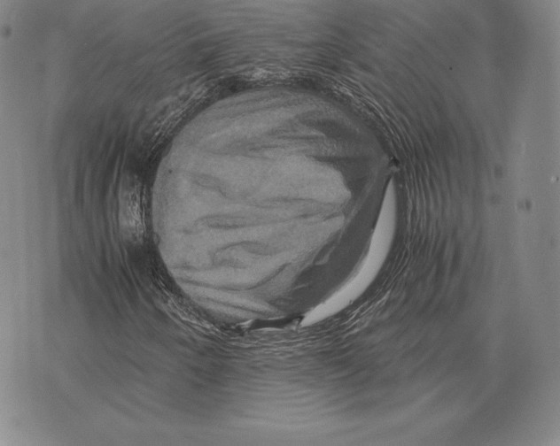 X0000075861250200610151626