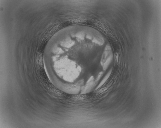 X0000075861251200610151626