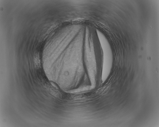 X0000075861252200610151626