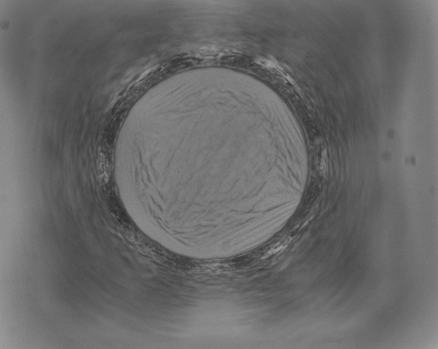 X0000075861253200610151626