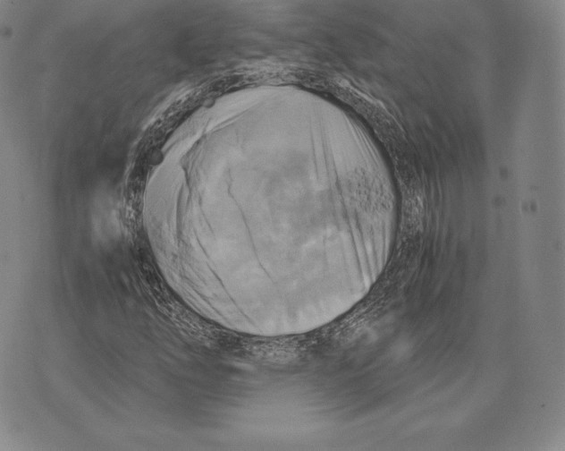 X0000075861254200610151626