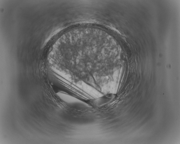 X0000075861255200610151626