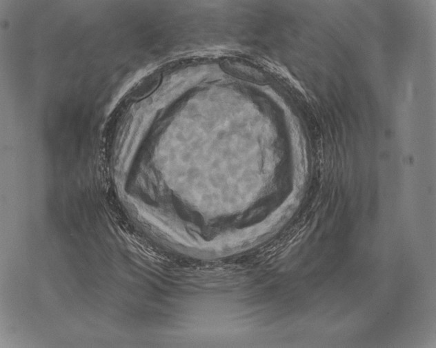 X0000075861256200610151626