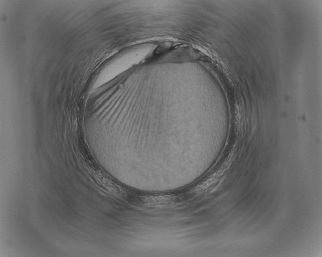 X0000075861257200610151626