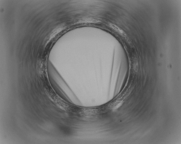 X0000075861258200610151626