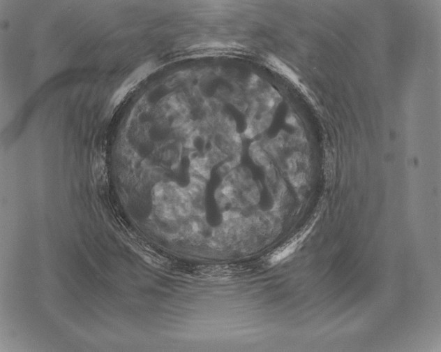 X0000075861259200610151626