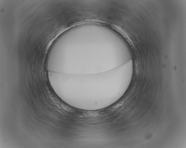 X0000075861260200610151626