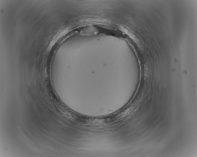 X0000075861261200610151626