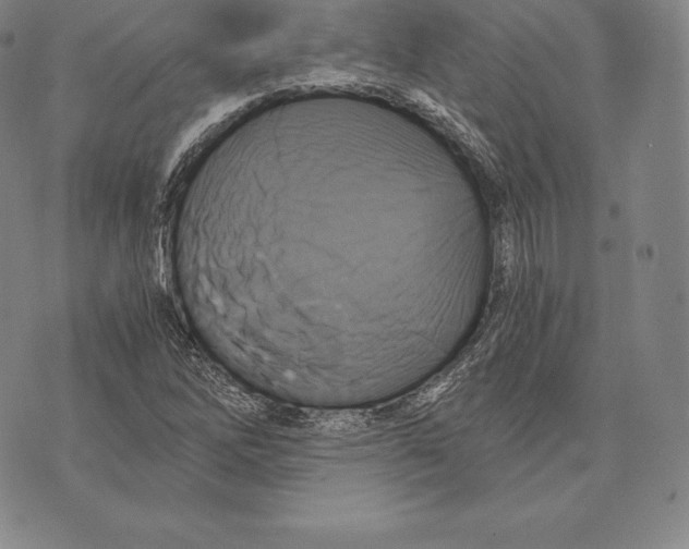 X0000075861262200610151626