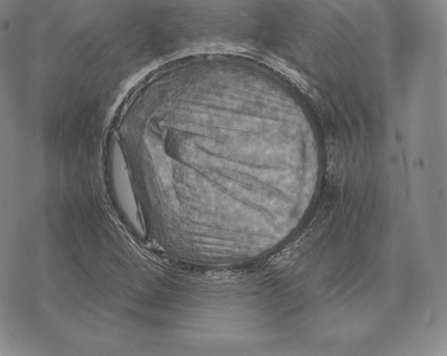 X0000075861264200610151626