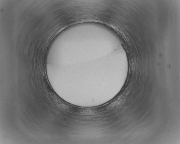 X0000075861265200610151626