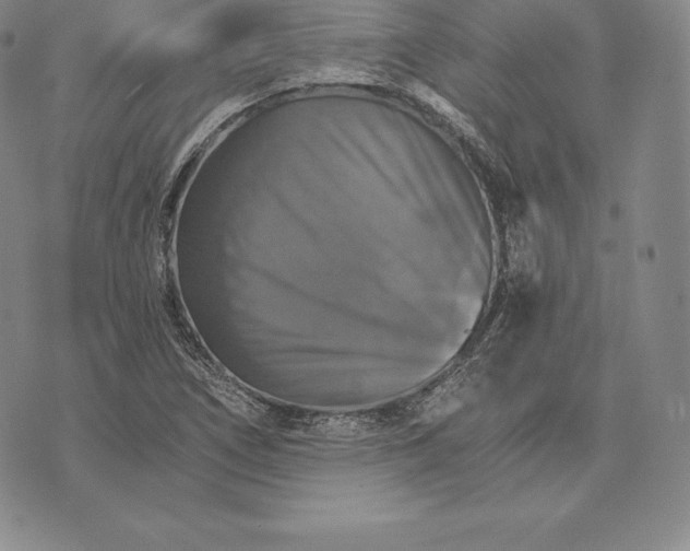 X0000075861266200610151626