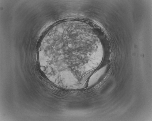 X0000075861267200610151626