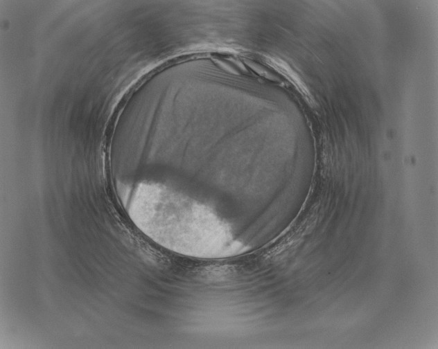 X0000075861268200610151626