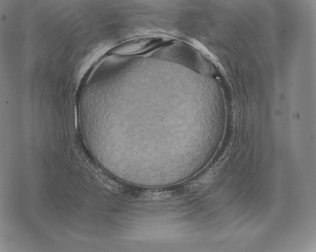 X0000075861269200610151626