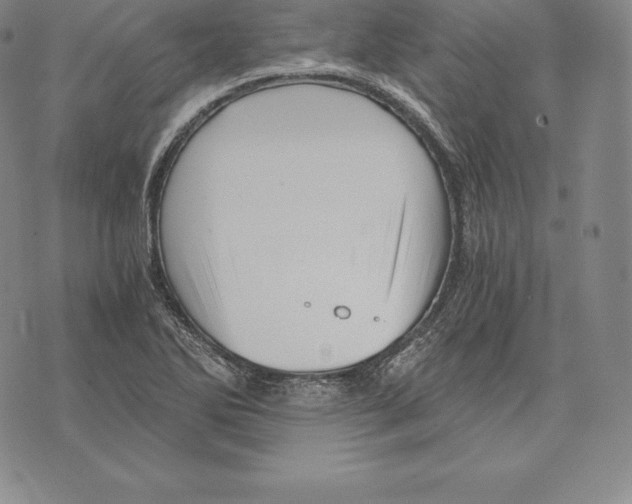 X0000075861270200610151626