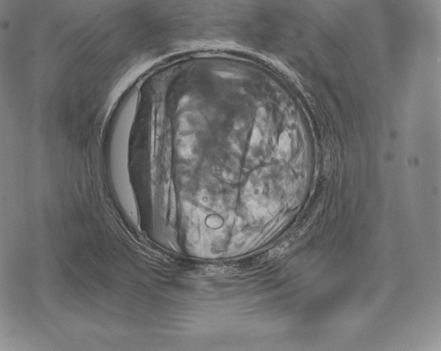 X0000075861271200610151626