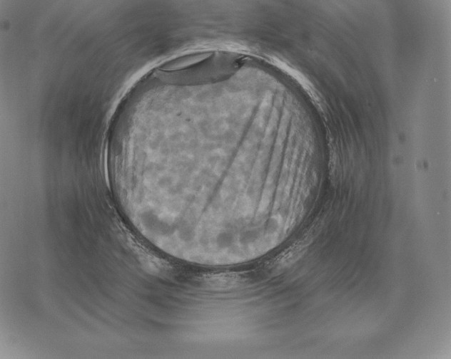 X0000075861272200610151626