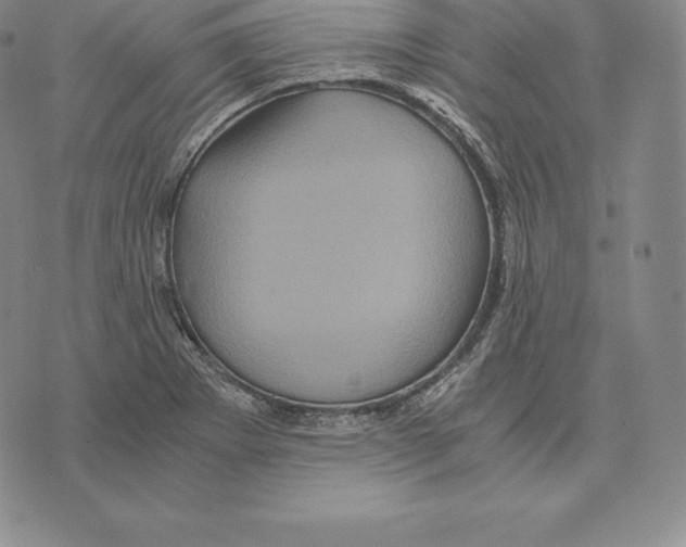 X0000075861273200610151626