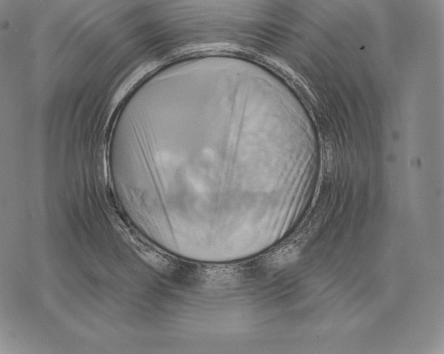 X0000075861274200610151626