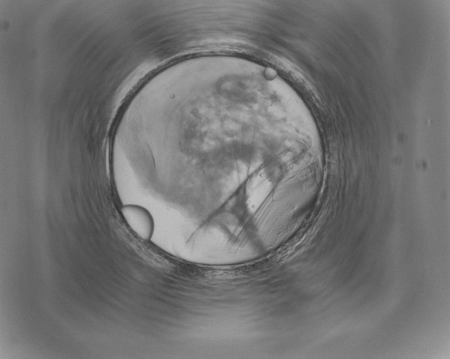 X0000075861275200610151626