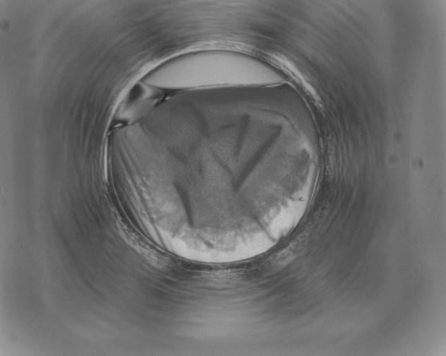 X0000075861276200610151626