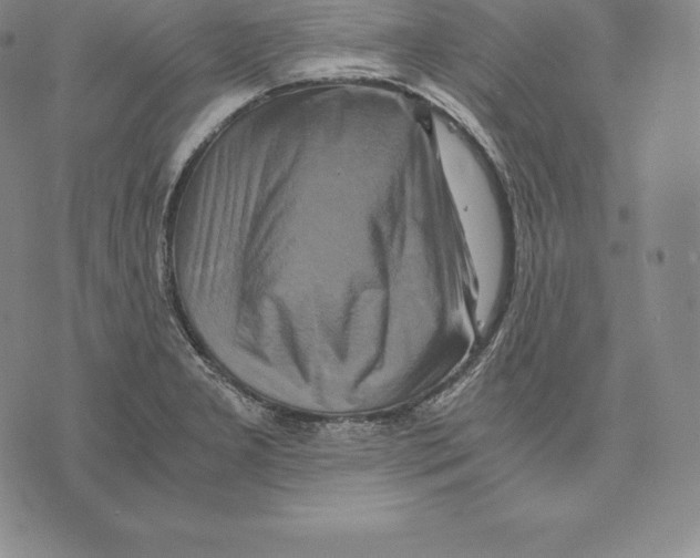 X0000075861277200610151626